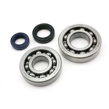 Naraku Crankshaft Bearings and