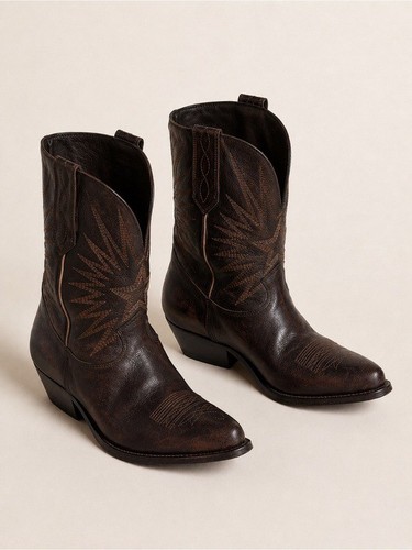 Golden goose low - goose, star