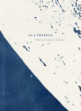 Ala Ebtekar: Thirty-Six Views