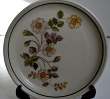 m s autumn leaves pottery 22.5cm Plate