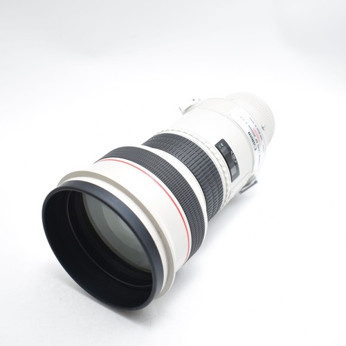 Canon 300mm l is usm - f2.8,