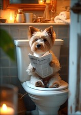YORKSHIRE TERRIER ON TOILET