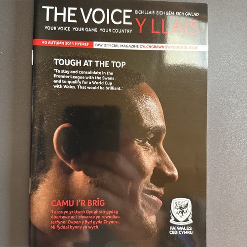The voice llais bilingual - y, llais(bilingual