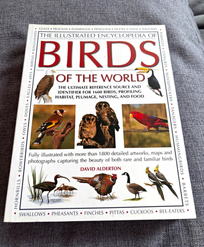 David alderton the illustrated - david,