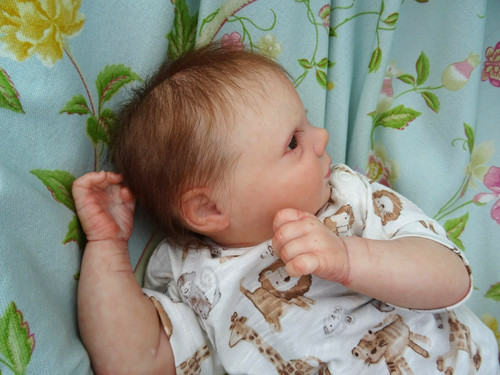 Reborn baby realborn anton - realborn,