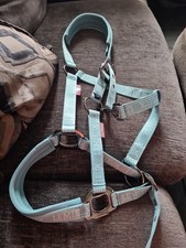 Lemieux Headcollar Lagoon Size Cob
