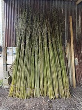 Willow weaving rods /