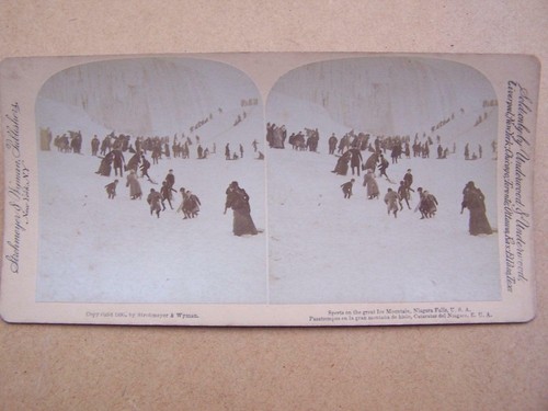 Niagara stereoscope - ,