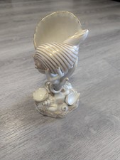 Elegant Nautilus Shell