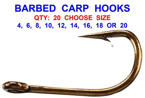 Barbed bronze eyed carp - 20,