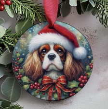 Cavalier King Charles Spaniel