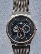 Skagen Denmark Men's Titanium