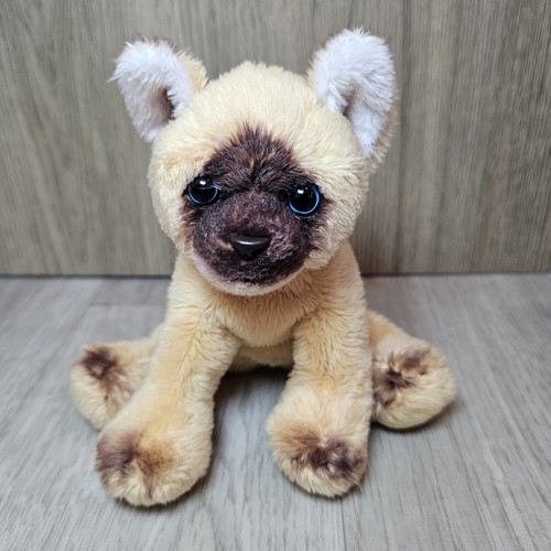 Suki rag doll - suki,