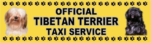 Tibetan terrier official - official, taxi