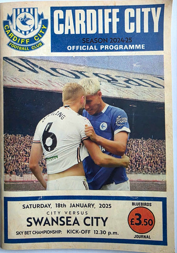Cardiff city swansea - fc, v