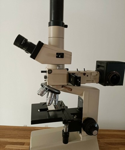 Microscope olympus 2 - olympus, bh-2