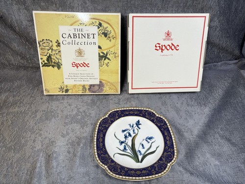 Spode the cabinet - spode,