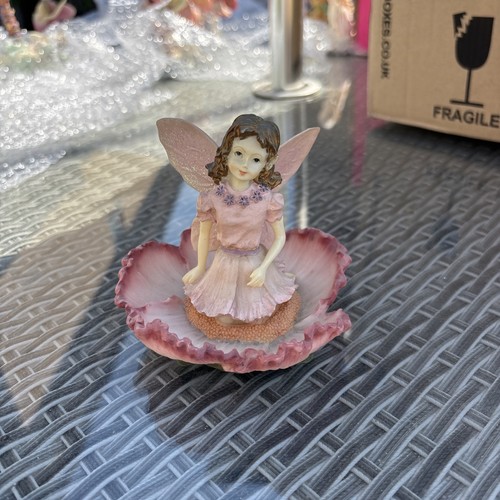 The fairy collection - fairy,