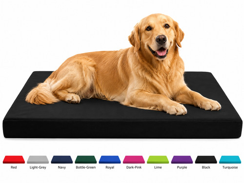 Dog cage bed cushion - dog,
