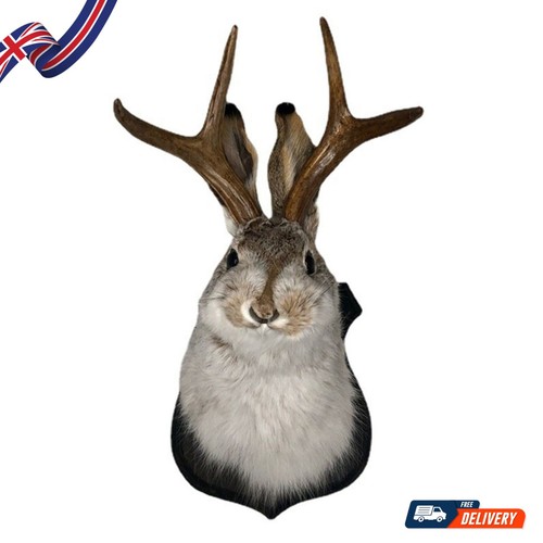 Animal wall sculpture - animal, –