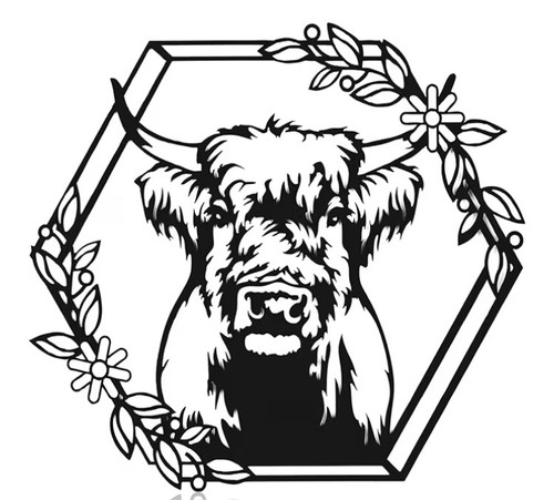 Highland cow bull western - highland,