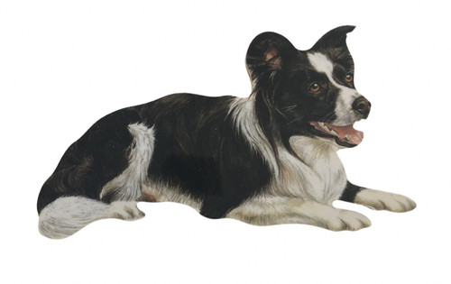 Sheepdog magnet - -,