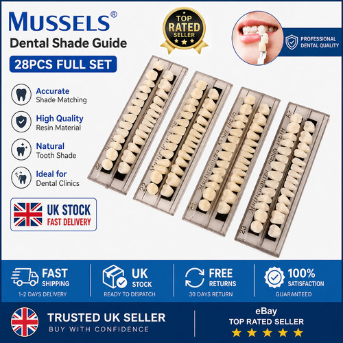 Upper lower resin denture - upper,