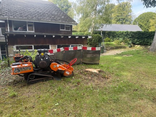 Operated stump grinder - grinder, hire
