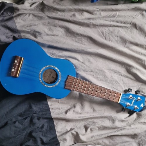 Octopus blue acoustic ukulele - blue,