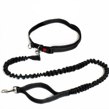Hands Free Dog Walking Belt