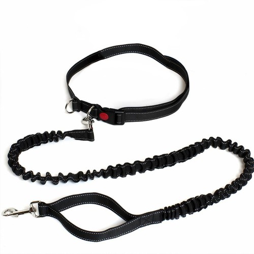 Hands free dog walking belt - dog,