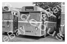 Bus Photograph HALIFAX C.T. PCP 803 [123] '71