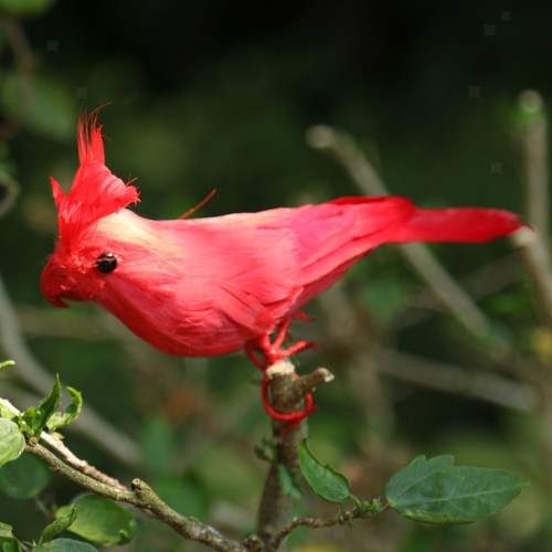 Red artificial feathered - red,