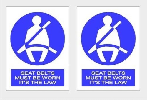 Seat belt sticker large - seat,
