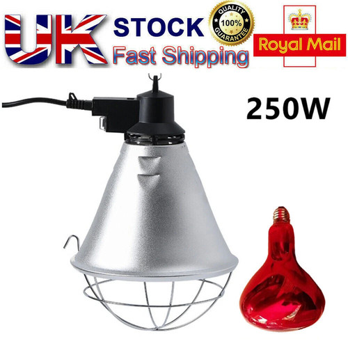 250w infrared heat lamp - heat,