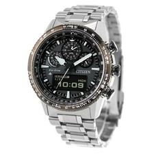 Citizen Promaster Men's