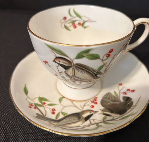 Tuscan fine bone china - fine,