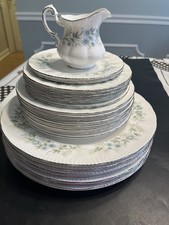 24 Paragon Debutante Blue