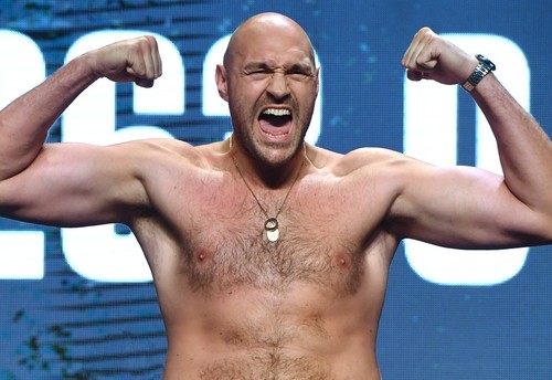Tyson fury poster brand - fury, (brand