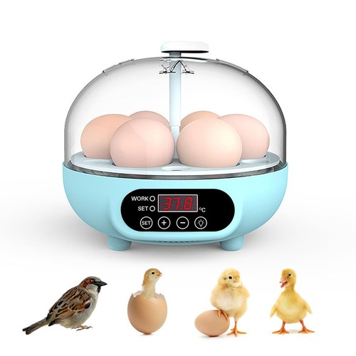 Egg incubator automatic - incubator,