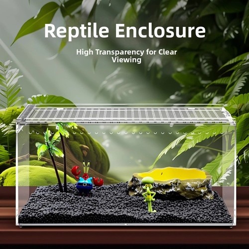 Clear acrylic spider terrarium - spider,
