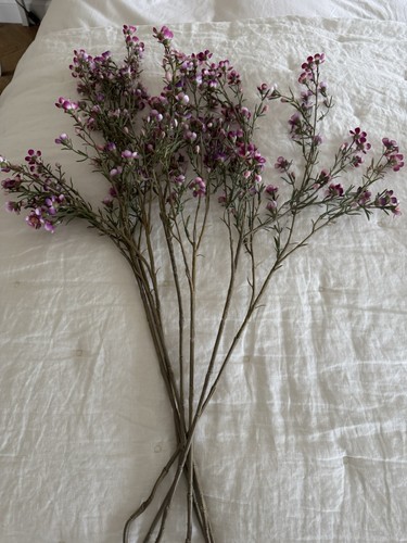 Floralsilk wax flower stems - flower, x