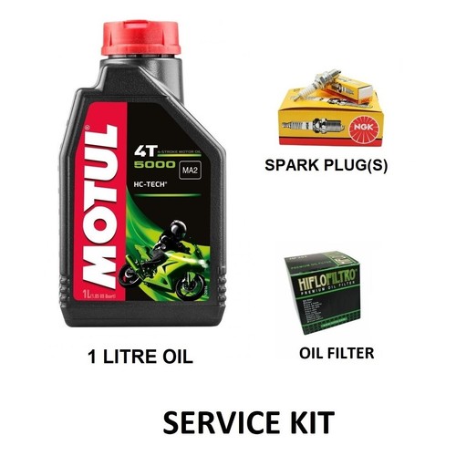 Service kit for pgo rex - kit, 110