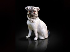 Rare Early Staffordshire Pug