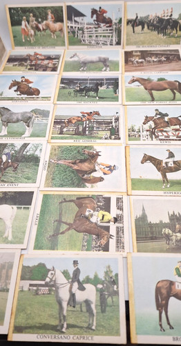 The horse trading cards - trading,