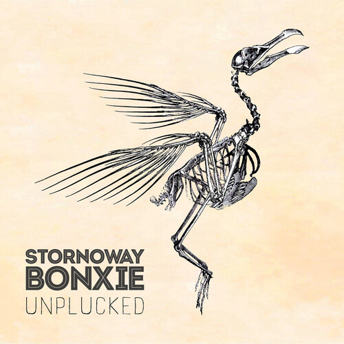 Stornoway bonxie unplucked - stornoway, :