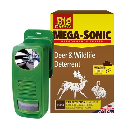 Mega sonic garden - sonic,
