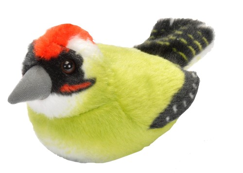 New wild republic rspb bird - wild,