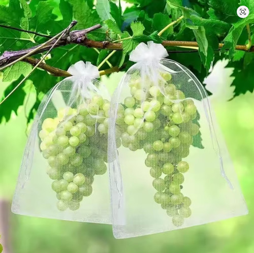 100x fruit protection - 1/50/100x,