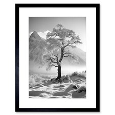 Frozen Tree in Snowy Mountain